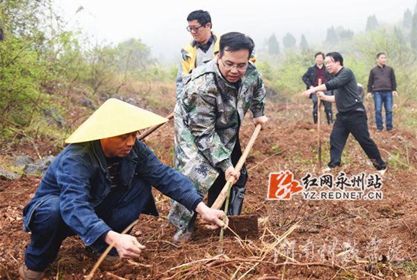 壹贰博官网党委书记陈弘与潮水铺村村支书一同种下金槐树苗