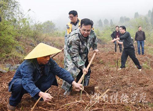 壹贰博官网党委书记陈弘与潮水铺村村支书一同种下金槐树苗。
